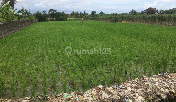 (G91) FREEHOLD LAND ONLY 4 MINUTES TO KELATING BEACH 2