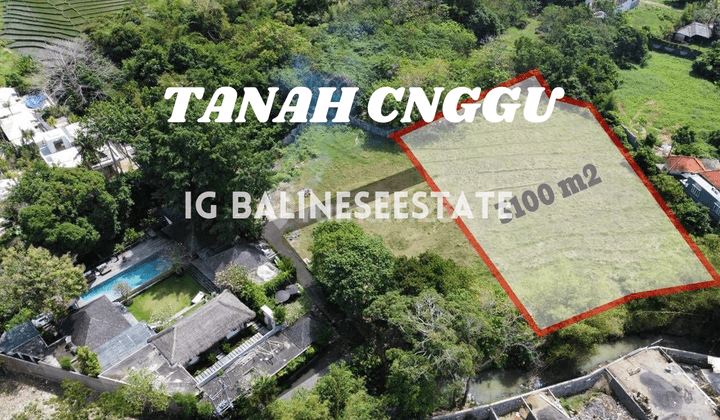 (Pp) FOR SALE TANAH CANGGU ZONA PEMUKIMAN  1