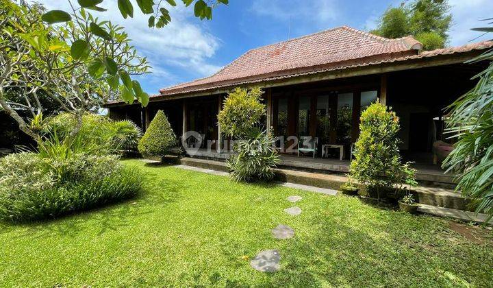 (Af) THE STYLISH VILLA IN QUIET & PEACEFULL AREA OF KEDUNGU 1