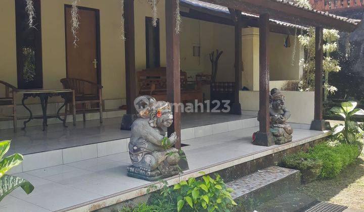 (H87) DIJUAL BANGUNAN KOS DITENGAH KOTA BANGLI di Jalan nusantara 4