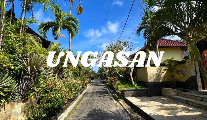 (I16) AUTHENTIC EXCLUSIVE VILLA 2 BR IN UNGASAN BALI 1