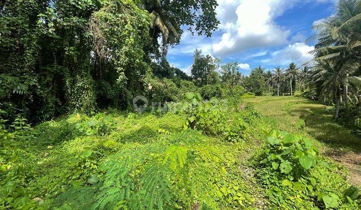 (Wbl) TANAH LINGKUNGAN VILLA DAN PARIWISATA DI UBUD 1