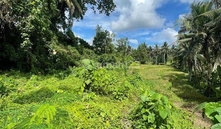 (Wbl) TANAH LINGKUNGAN VILLA DAN PARIWISATA DI UBUD 2