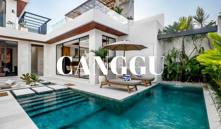 (F41) BRAND NEW LUXURY VILLA IN CANGGU 1