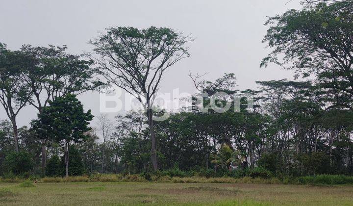 TANAH GRAHA GOLF UTAMA ARAYA MALANG 2