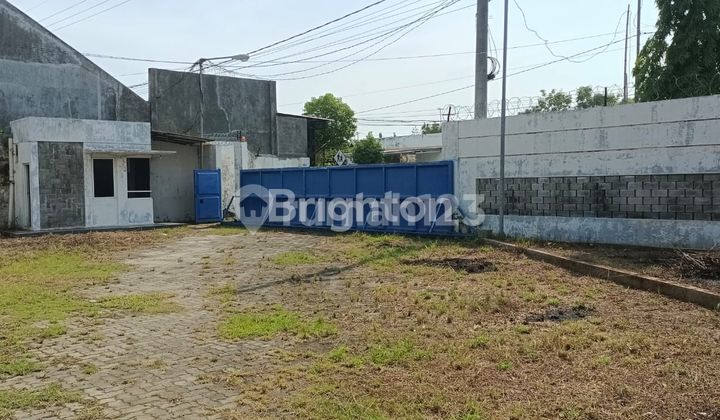FOR SALE EX FACTORY / WAREHOUSE IN JENU KAJONGAN SEKARDADI TUBAN ZERO MAIN ROAD FOR SALE EX FACTORY / WAREHOUSE IN JENU KAJONGAN SEKARDADI TUBAN ZERO MAIN ROAD