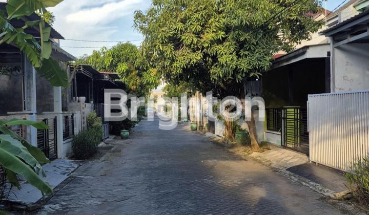 cool minimalist house, grand semanggi residence 2