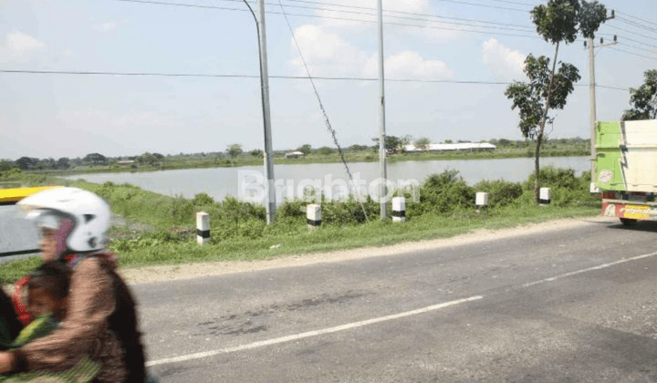 LAHAN ATAU TAMBAK PRODUKTIF PINGGIR JALAN RAYA 0 KM DI JALAN RAYA PACIRAN SIDAYU GRESIK 2