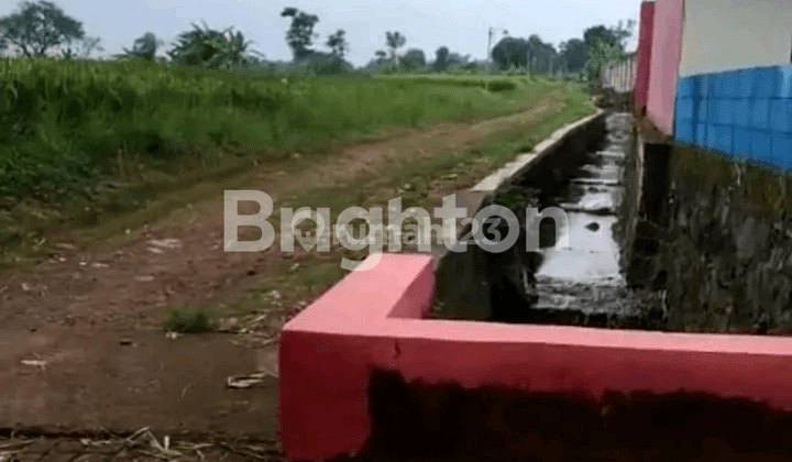 KANDANG AYAM DI KUTOREJO MOJOKERTO 2