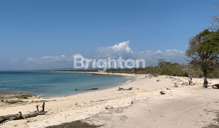 TANAH PARIWISATA PINGGIR PANTAI DI SUMBA BARAT DAYA NUSA TENGGARA TIMUR 1