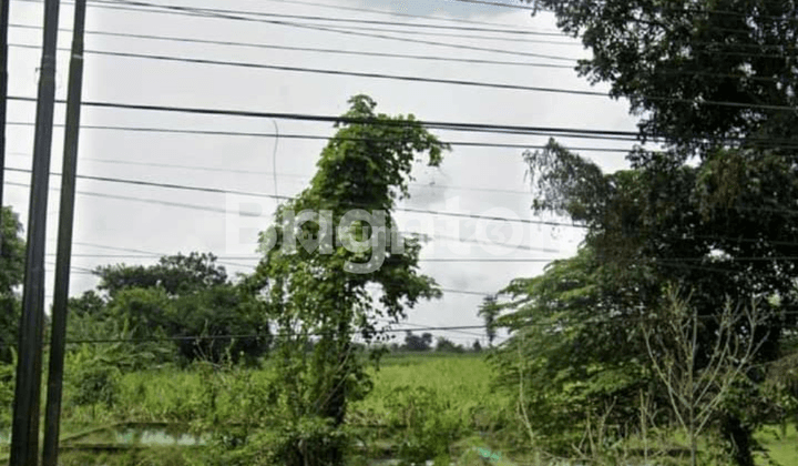 TANAH DI BRANGGAHAN NGADILUWIH KEDIRI 2