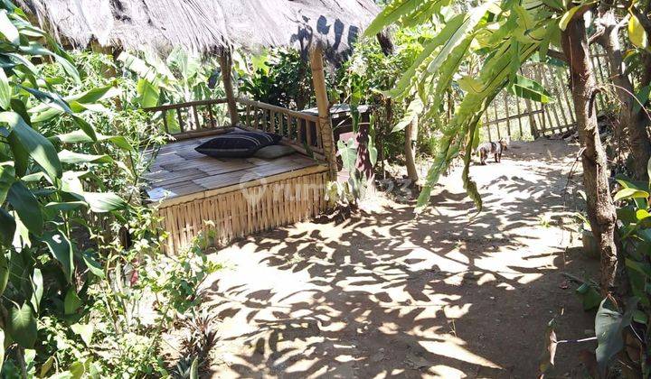 Tempat Usaha Ciwidey Soreang Cocok Untuk Restauran Atau Villa 2