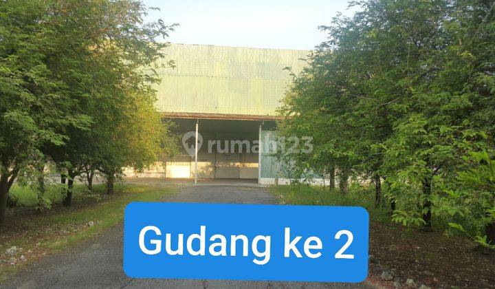 Gudang + Kantor Bojonegoro 3