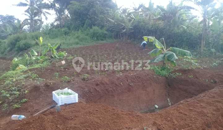 Tanah Kosong Cikubang Cipatat Tanah Kosong Cikubang Cipatat