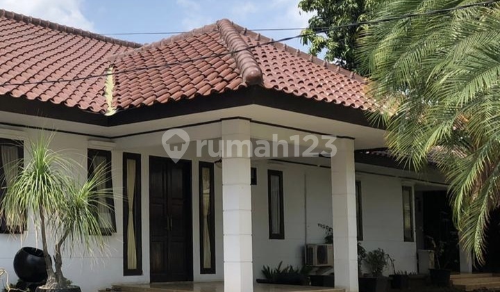 Rumah Rawa Belong, Kebon Jeruk, Jakarta Dengan Halaman Yang Luas Dan Asri