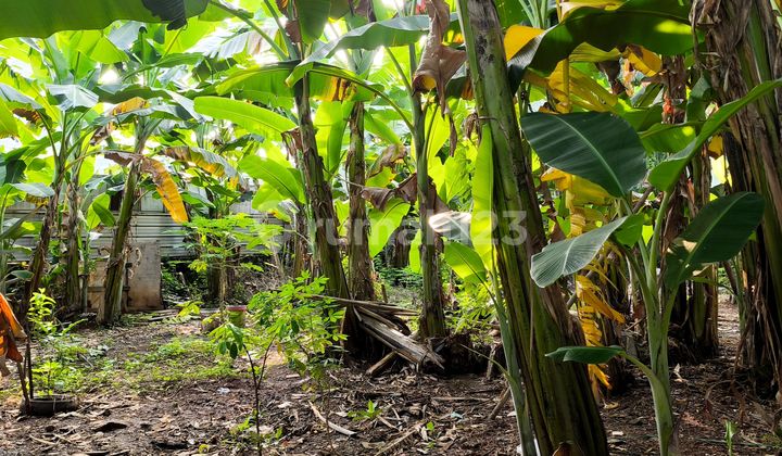 Kavling Premium Dengan Bentuk Tanah Persegi Di Kawasan Sunter Hijau, Jakarta Utara Kavling Premium Dengan Bentuk Tanah Persegi Di Kawasan Sunter Hijau, Jakarta Utara