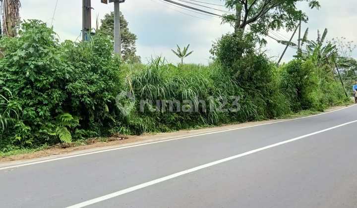 TANAH UNTUK PERUMAHAN LOKASI NOL JALAN RAYA PANDAAN !!