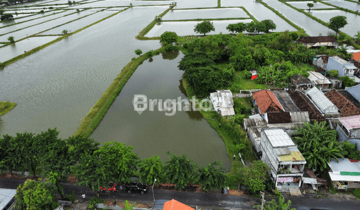 TANAH TAMBAK PRODUKTIF SIAP PAKAI LOKASI CERME GRESIK !! 2