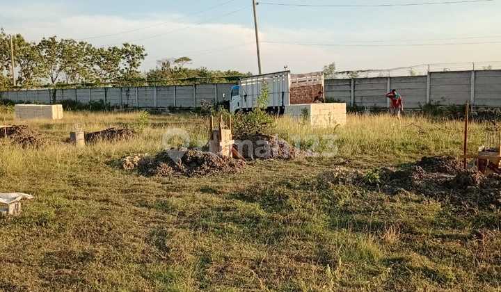Cocok untuk Gudang Kavling Lokasi Perbatasan Tuban !! Cocok untuk Gudang Kavling Lokasi Perbatasan Tuban !!