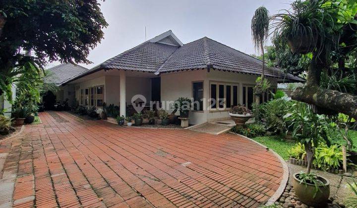 Rumah Super Luas Dengan Swimming Pool Di Cipete 1