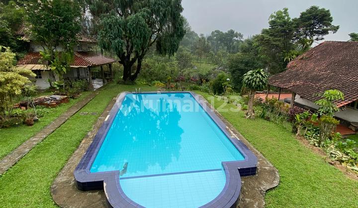 Villa Asri Super Spacious in Puncak, Bogor Strategic Location One Step to Taman Safari Indonesia
