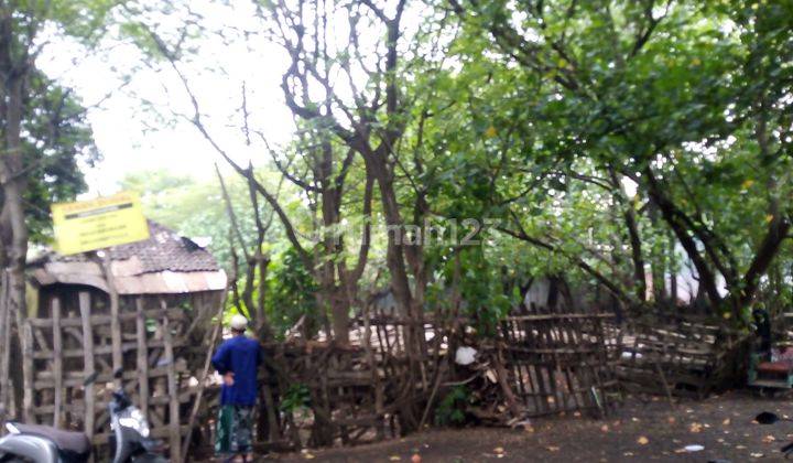 Tanah Dijual 910 m² SHM dekat Jalan Raya Bokir murah 1