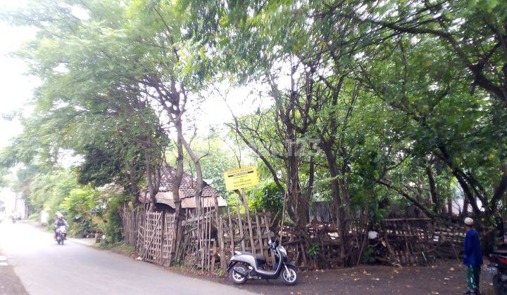 Tanah Dijual 910 m² SHM dekat Jalan Raya Bokir murah 2