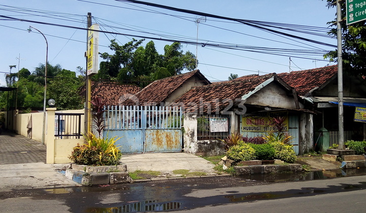Tanah Strategis 0 jalan Dijual di Jalan Raya Pantura SHM 2243 m² 1