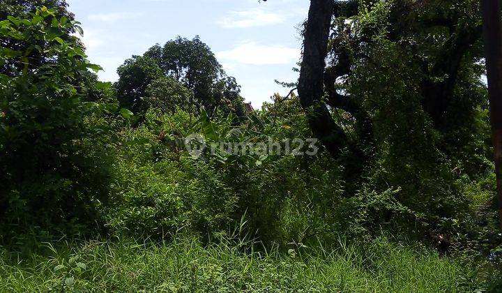 Tanah Dijual Samping Jalan Raya Kraton 1600 m² SHM 6