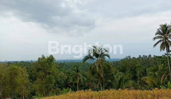 TANAH MURAH COCOK UNTUK VILLA/HOTEL DI PENEBEL TABANAN BALI 1