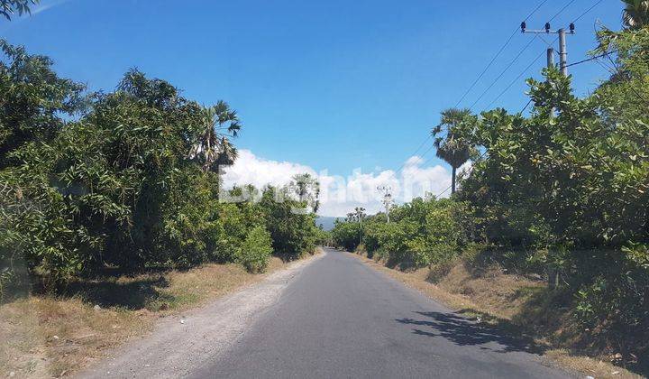 PLANTATION LAND IN KARANGASEM BALI 1