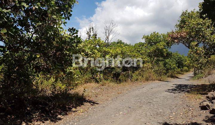 PLANTATION LAND IN KARANGASEM BALI 2