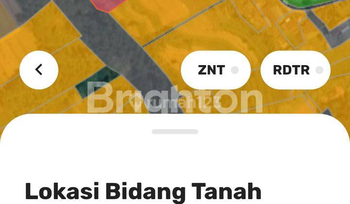 TANAH BATUNYA BATURITI TABANAN 1