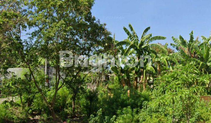 CHEAP PLOT LAND IN DENPASAR 2