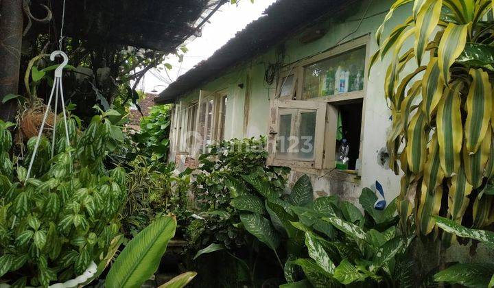 Rumah lama 1888 di tengah kota Yogyakarta  12