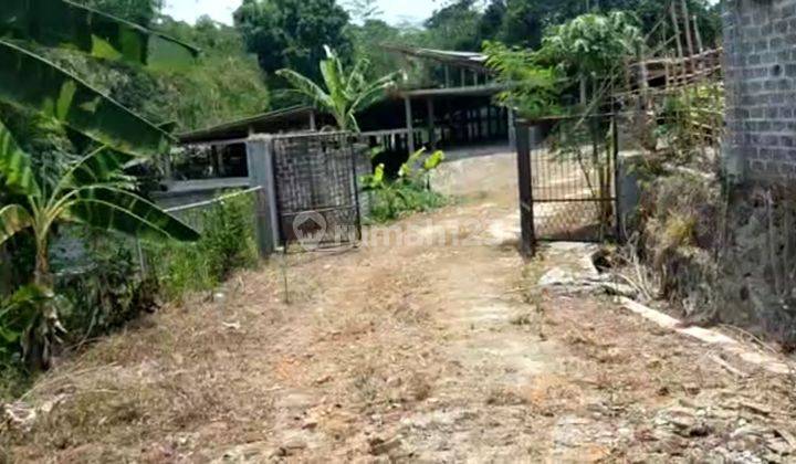 Lahan usaha untuk kandang sapi dan tanah kosong di Bogor  1