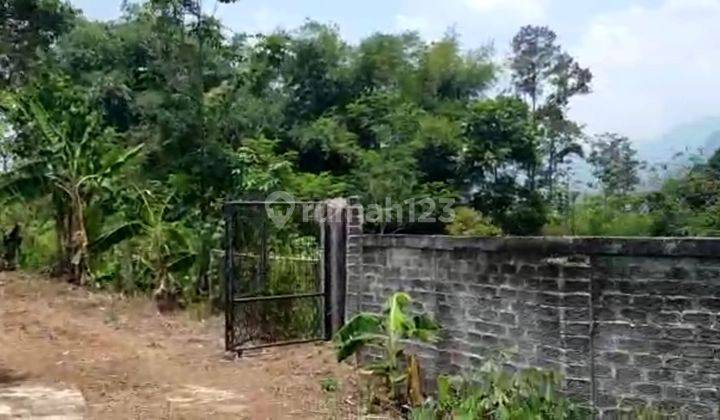 Lahan usaha untuk kandang sapi dan tanah kosong di Bogor  3