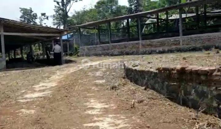 Lahan usaha untuk kandang sapi dan tanah kosong di Bogor  5