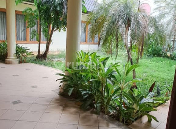 Green, Comfortable, Well-Maintained House in Tebet