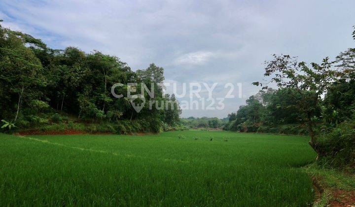 TANAH KAWASAN PERHUTANI DAN PERKEBUNAN COCOK UNTUK PERUMAHAN  2