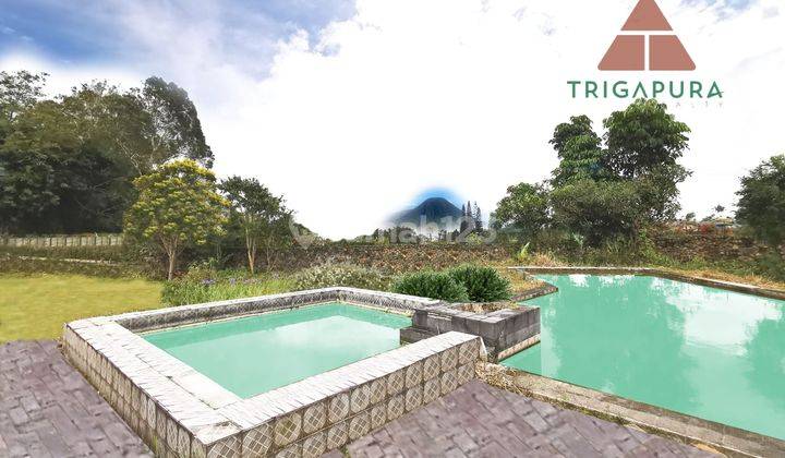 Butuh Segera, Puncak, Cipanas, Coolibah, Villa Hitung tanah 2