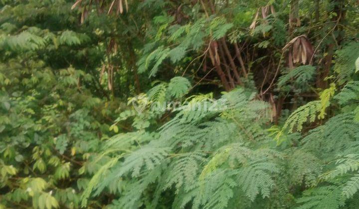 Tanah Pekarangan Siap Bangun Joyontakan Solo 2
