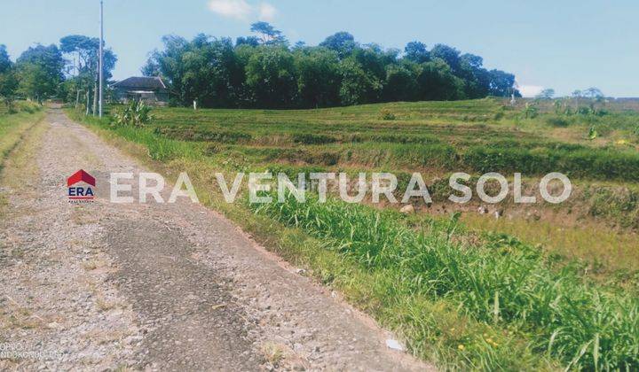 Tanah Lokasi Staretgis Dekat Dengan Rumah Makan Putri Duyung Karangpandan  1