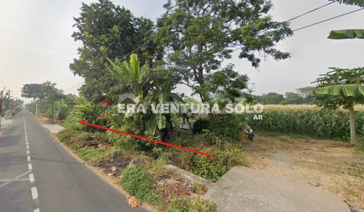 Yellow Zone Palm Oil Land Boyolali Yellow Zone Palm Oil Land Boyolali