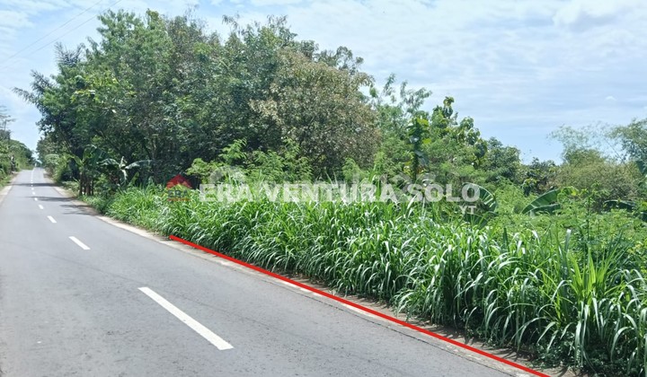 Tanah Tegalan Strategis Mojogedang Karanganyar