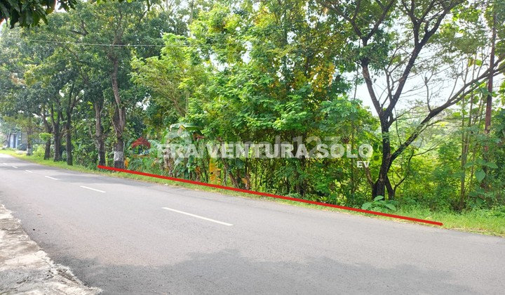 Tanah Pekarangan Strategis Polokarto