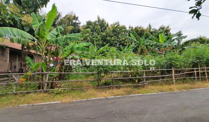 Strategic Residential Land in Ngringo Jaten Strategic Residential Land in Ngringo Jaten