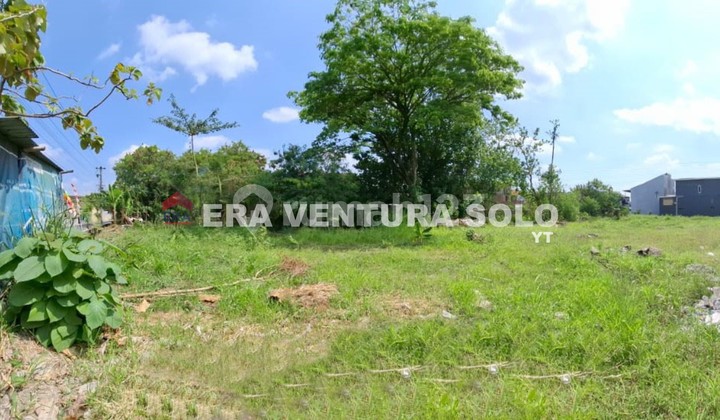 Tanah Pekarangan Siap Bangun Gumpang Kartasura Tanah Pekarangan Siap Bangun Gumpang Kartasura