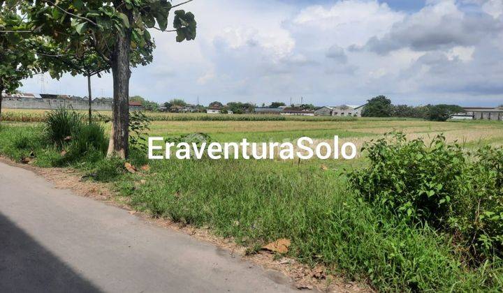 Tanah di Ceper, Klaten, Klaten SHM 1 ha 2