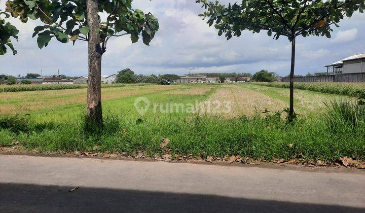 Tanah di Ceper, Klaten, Klaten SHM 1 ha 3
